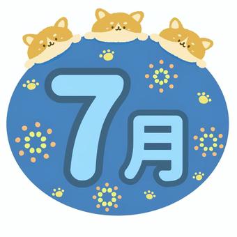 かわいい柴犬3匹•花火イメージの7月 柴犬,犬,動物,7月,月,月刊,暦,楕円,シンプル,かわいいのイラスト素材