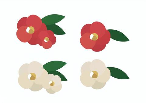 椿 椿,ツバキ,花,植物,和風,和,冬,早春,赤い花,白い椿のイラスト素材