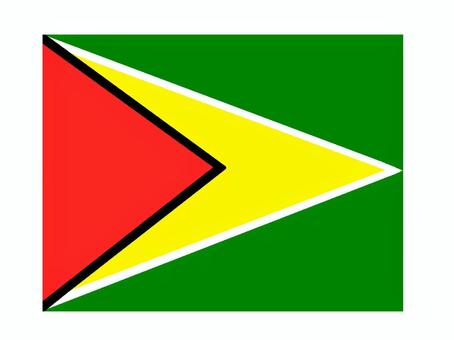 ガイアナ協同共和国 ガイアナ協同共和国,国旗,掲揚,軍旗,弔旗,イラストのイラスト素材