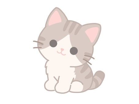 首を傾げる、かわいい子猫 子猫,猫,動物,ペット,保護猫,愛猫,かわいい,癒し,座る,おねだりのイラスト素材