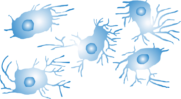樹状細胞02 細胞,樹状細胞,免疫,培養,ウイルス,研究,実験,免疫細胞のイラスト素材