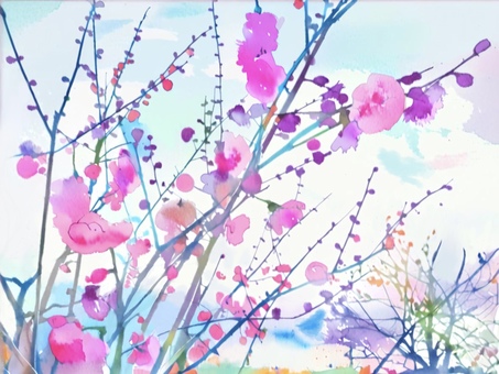 梅の花 梅の花 梅,花,桃のイラスト素材