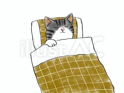 ねこ お布団でおやすみ 2 サバトラ