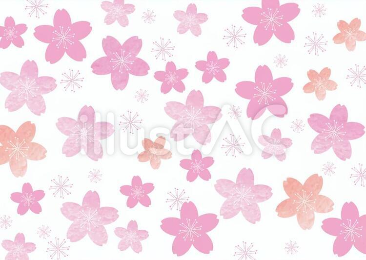 おしゃれな桜の背景 春,花,和風のイラスト素材