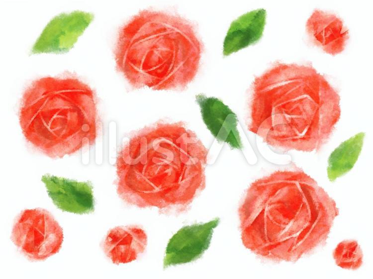 薔薇の花(赤) 薔薇,花,手描きのイラスト素材