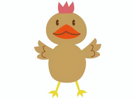 Illustration, to take, chicken, red chicken, 