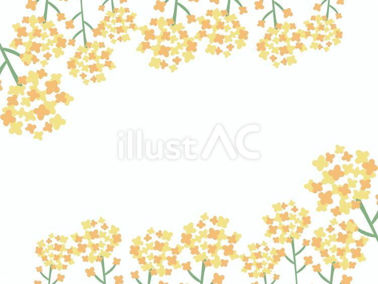 菜の花フレーム 桜,春,背景のイラスト素材