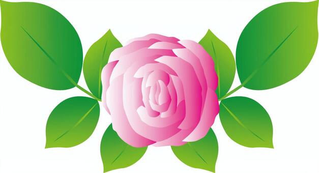 Illustration, rose, rose, flower, JPG and AI