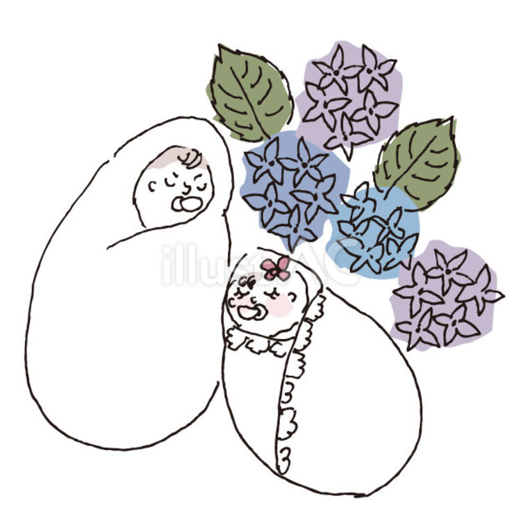 あじさいと赤ちゃん 梅雨,子ども,赤ちゃんのイラスト素材