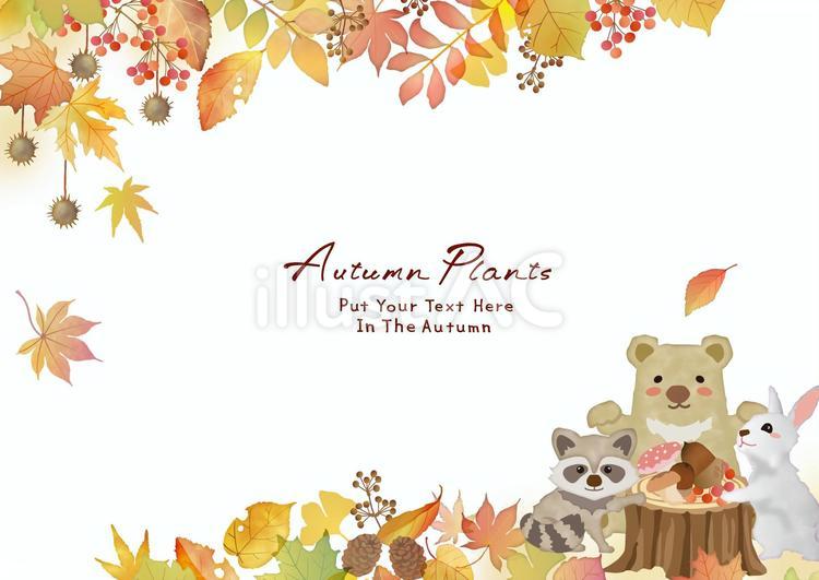可愛い森の動物と紅葉013 秋,紅葉,モミジのイラスト素材