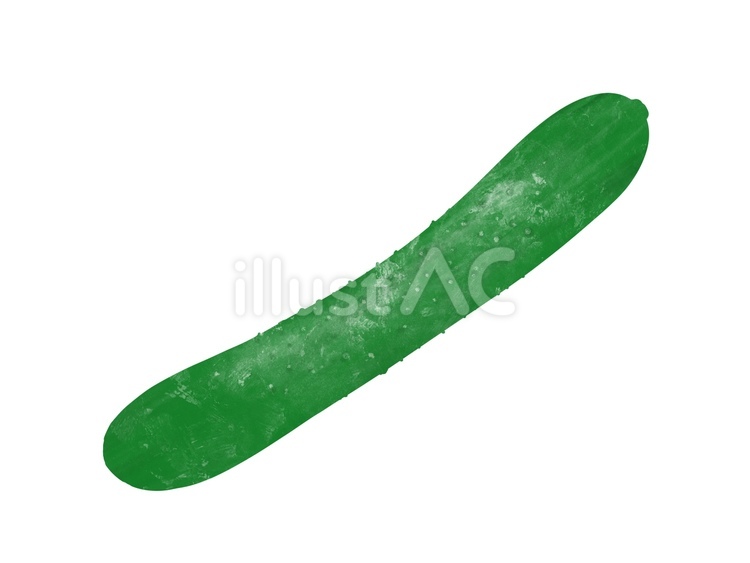 野菜　きゅうり きゅうり,野菜,夏野菜のイラスト素材