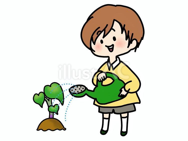 サツマイモの苗に水やりをする男の子 男の子,水やり,ジョウロのイラスト素材