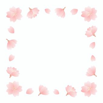 桜の花の春の正方形フレーム、桜イラスト 桜の花の春の正方形フレーム、桜イラスト 春,桜,水彩,さくら,フレーム,背景,入学式,入学,花,新生活のイラスト素材