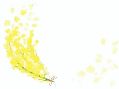 ミモザ 手描きイラスト｜無料イラスト・フリー素材なら