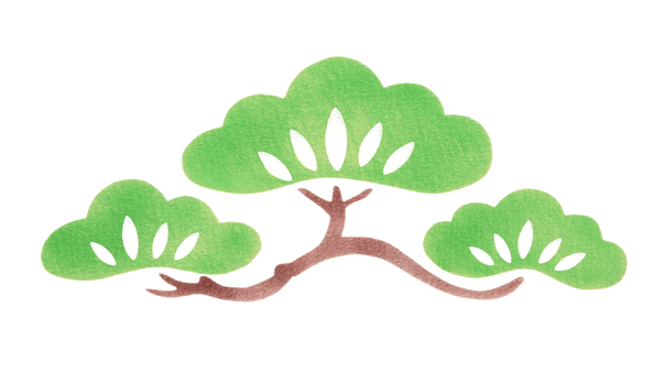 松の枝　水彩風② 松,植物,和風,和柄,装飾,飾り,御祝,寿,結婚,婚礼のイラスト素材