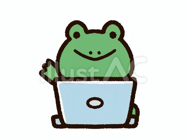パソコンを操作するかわいいカエル カエル,パソコン,かわいいのイラスト素材