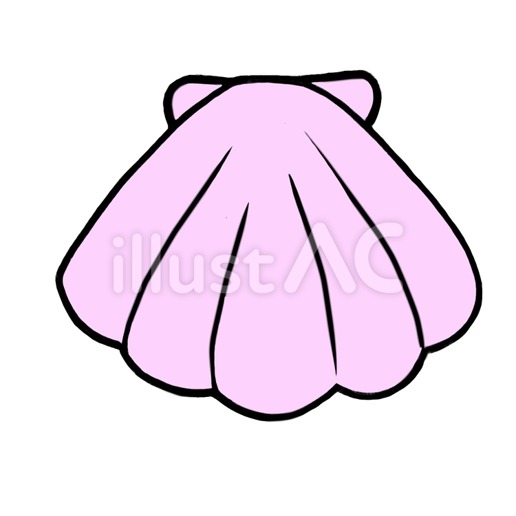 ピンクの貝殻、二枚貝 ピンク,貝,貝殻のイラスト素材