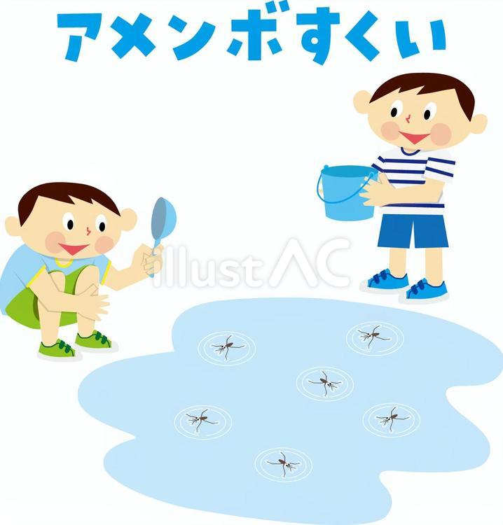 アメンボ　捕り　すくい アメンボ,昆虫,虫のイラスト素材
