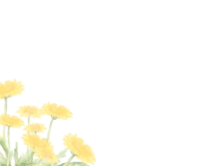 23_Dandelion 11 (left watercolor), , JPG and PNG