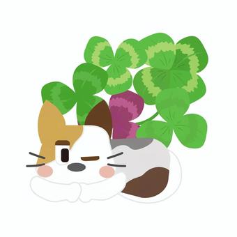四つ葉のクローバーと猫 クローバー,四つ葉,三つ葉,猫,ねこ,生き物,動物,ペット,葉,植物のイラスト素材