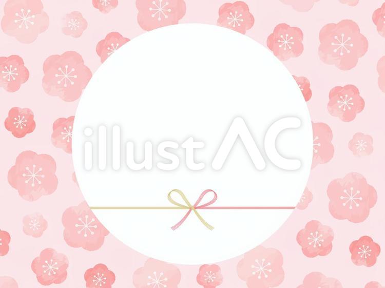 梅の花　水引　梅　水彩風　おしゃれ　枠 水引,梅の花,ギフトのイラスト素材