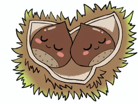 双子の栗 栗,食べ物,秋,旬,双子,寝る,仲良しのイラスト素材