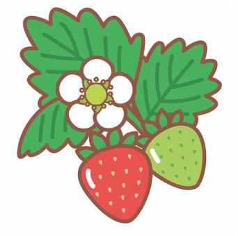 葉っぱと花のあるかわいいいちごのイラスト いちご,葉っぱ,赤い,花,束,果物,苗のイラスト素材