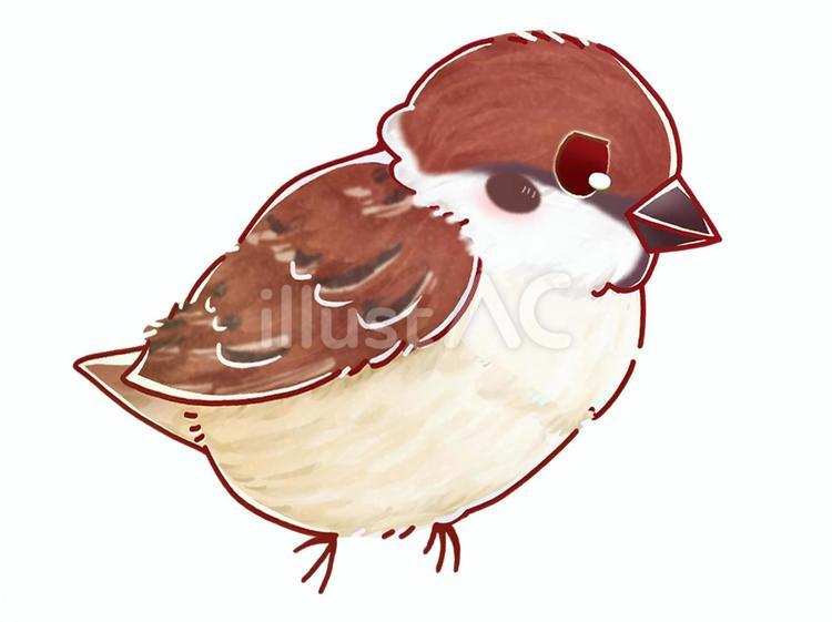 スズメ(横向き) スズメ,鳥,小鳥のイラスト素材