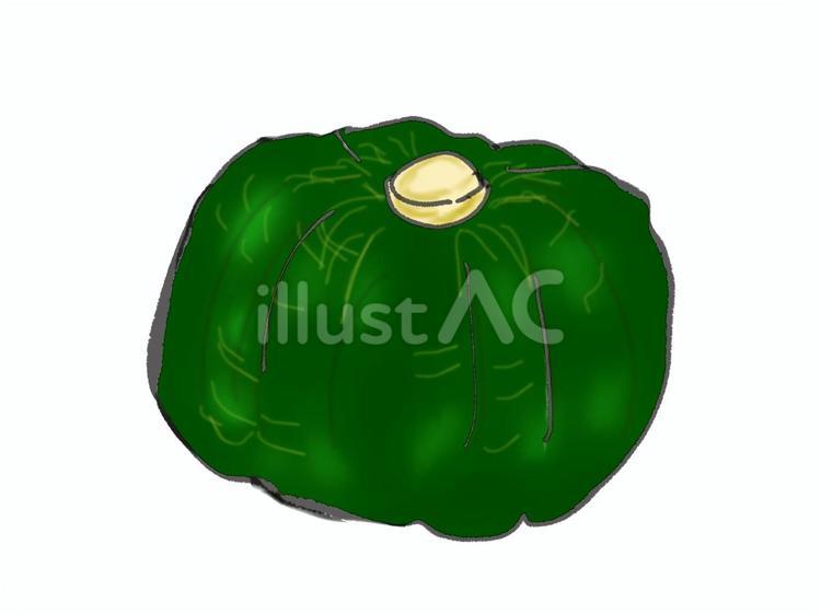 かぼちゃ かぼちゃ,野菜,緑黄色野菜のイラスト素材