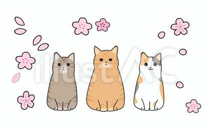 さくら猫