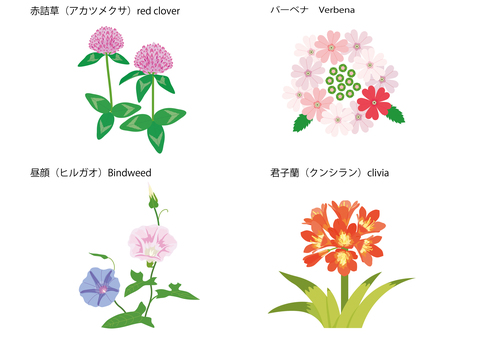 色々な花29 アカツメクサ,バーベナ,ヒルガオ,クンシラン,花のイラスト素材