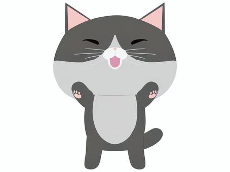 万歳する笑顔のはちわれ猫 万歳,猫,はちわれ,笑顔,動物,かわいい,両手,あげる,喜ぶ,嬉しいのイラスト素材