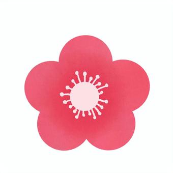梅の花