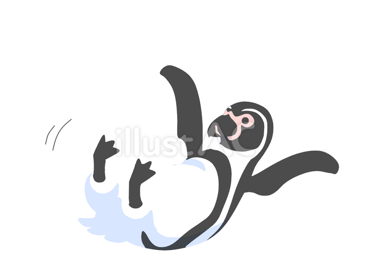 フンボルトペンギン（転ぶ・主線なし） ペンギン,動物,鳥のイラスト素材