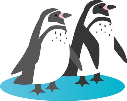 Illustration, penguin, humboldt penguin, mer, 