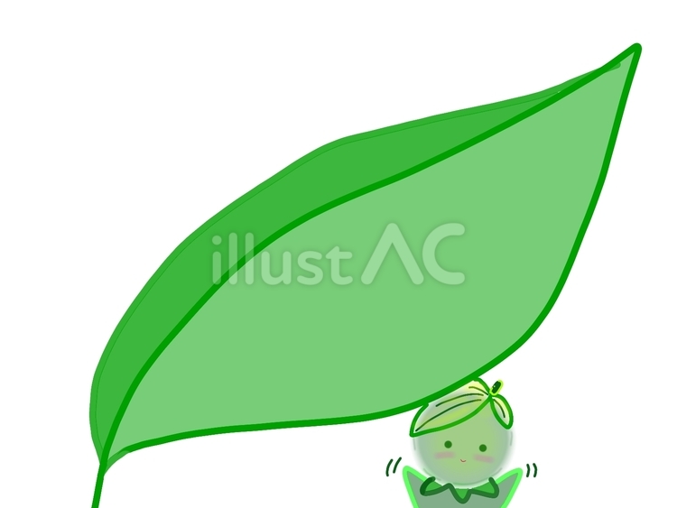 木の葉にかくれんぼ。みーつけた。 緑,木の葉,森のイラスト素材