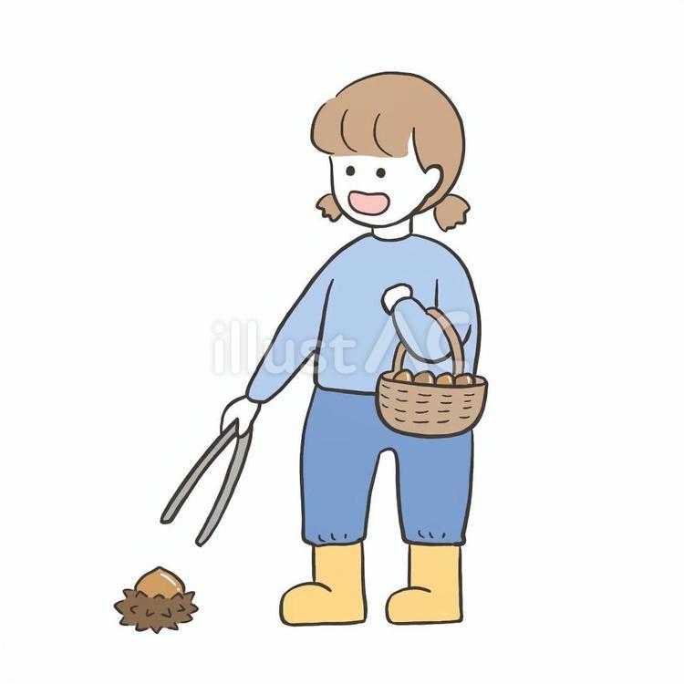 栗拾いをする女の子（カラー） 栗,栗拾い,女の子のイラスト素材