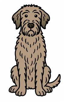 お座りするアイリッシュウルフハウンド アイリッシュウルフハウンド,お座り,大型犬,尻尾,ペットのイラスト素材
