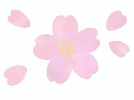 水彩風のの桜の花と花びらのイラスト 桜,花,花びら,散る,舞う,春,季節,植物,水彩,手描きのイラスト素材
