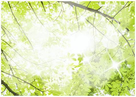 Fresh green background, JPG and AI Fresh green background, , JPG and AI