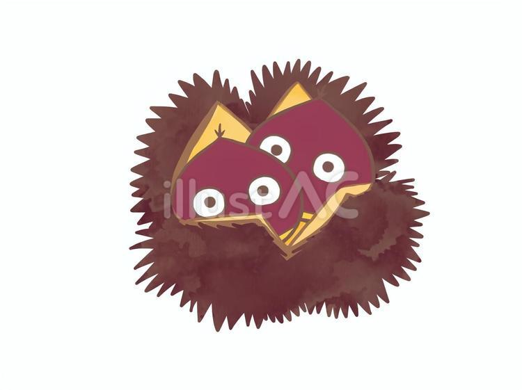 いがぐり　背景なし 栗,いがぐり,毬のイラスト素材
