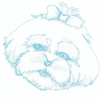 ほほえみシーズー　水色 線画,スケッチ,デッサン,リアル,タッチ,シーズー,小型,犬,ワンちゃん,ペットのイラスト素材