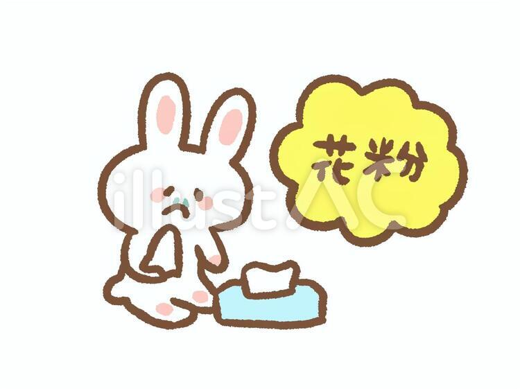 花粉症に苦しめられるうさぎ 花粉症,症状,鼻水のイラスト素材