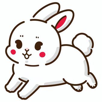 奔跑的白兔, 兔, 卯年, 卯, JPG, PNG 和 AI