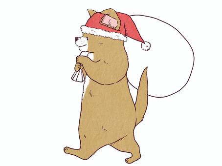 犬　サンタ帽子　カラー 犬,動物,歩く,袋,プレゼント,帽子,サンタクロース,クリスマス,冬,12月のイラスト素材