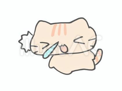 くしゃみをするネコ