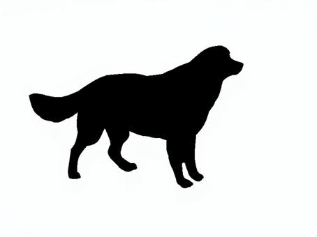 犬。。 犬,吠える,ペット,鳴く,シルエット,動物のイラスト素材