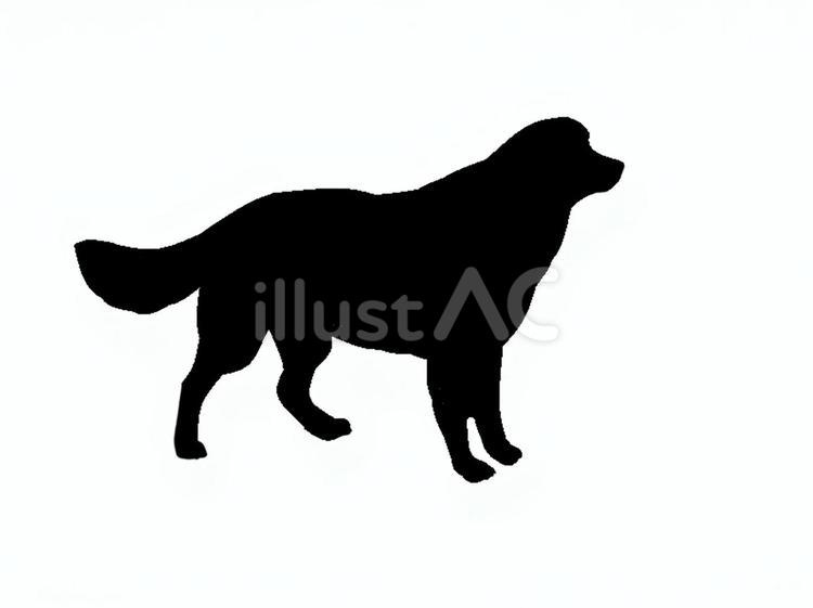 犬。。 犬,シルエット,動物のイラスト素材