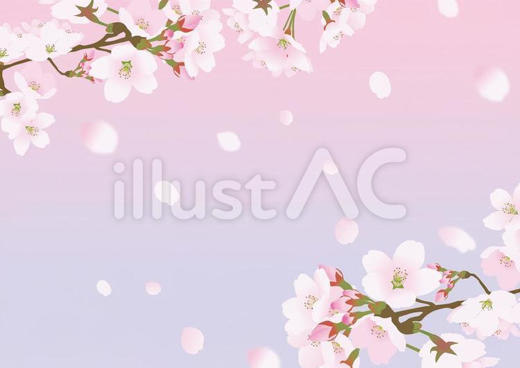 桜の花と空を飛び舞う散る花びら3 桜,フレーム,空のイラスト素材