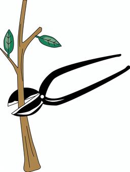 枝切ばさみ  枝切ばさみ,刃物,カット,植栽,使う,道具,園芸,用品のイラスト素材